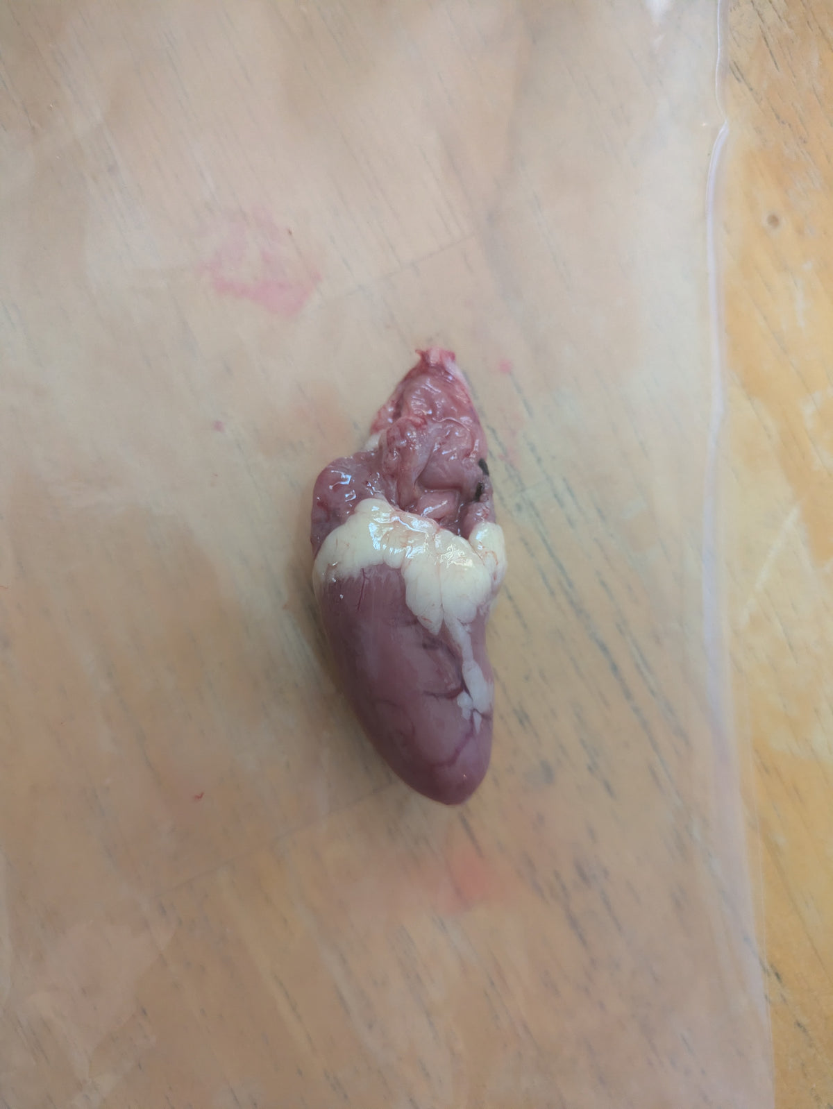 Corn free, soy free, pasture raised chicken heart. Raised and butchered in Virgin, Utah at Onward Homestead.