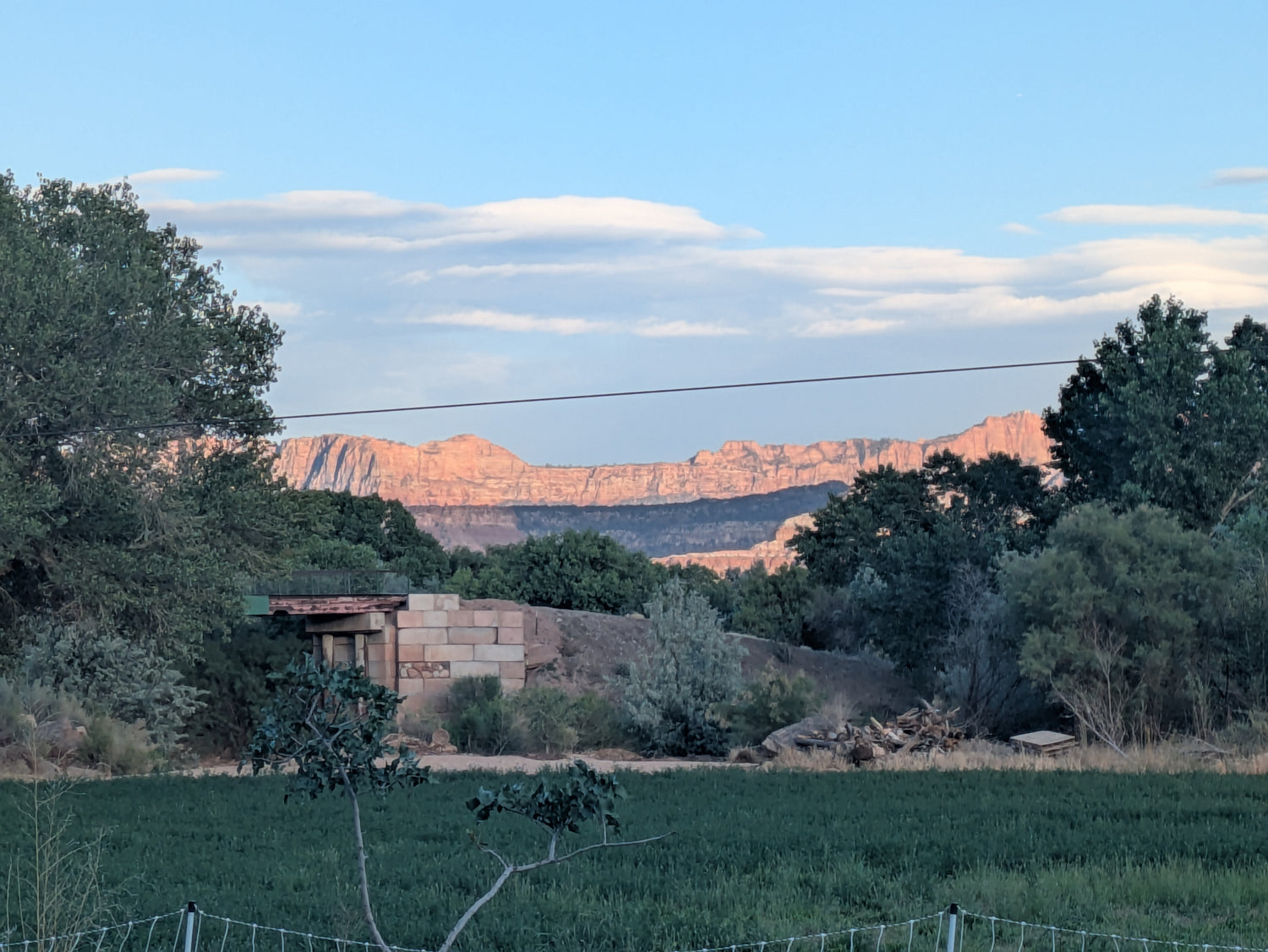 View of mountains in the background and alfalfa in the foreground at Onward Homestead in Virgin, Utah.