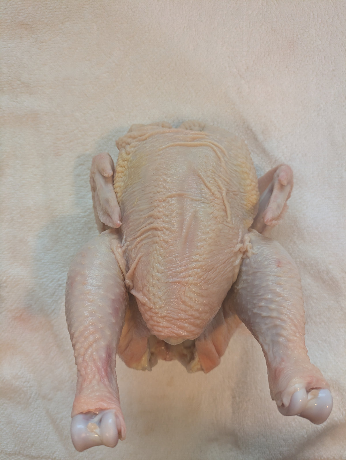 Corn free, soy free, pasture raised whole chicken with skin on. Raised and butchered in Virgin, Utah