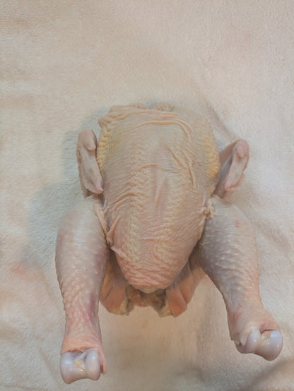 Corn free, soy free, pasture raised whole chicken with skin on. Raised and butchered in Virgin, Utah